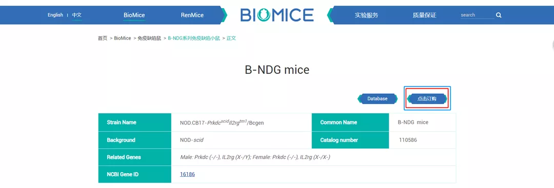 官网BioMice